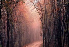 连场30+5+5全输！东契奇被小瓦连续点名防不住 体重过大体能太差.