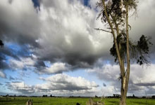 [冰雪]杨文龙获得单板滑雪男子大跳台第八名.