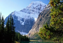 壹号娱乐下载：巴西主帅：我们在各阶段都取得了进步，要努力加速这个过程.