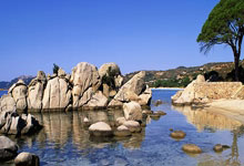 [冰雪]杨文龙获得单板滑雪男子大跳台第八名.